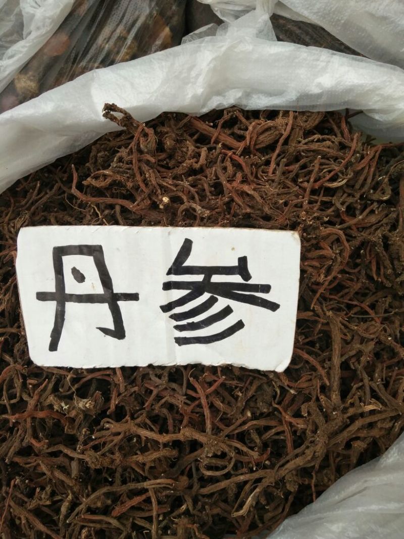 正规货源长期供应精品丹参自然生长品质**