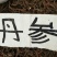 正规货源长期供应精品丹参自然生长品质**