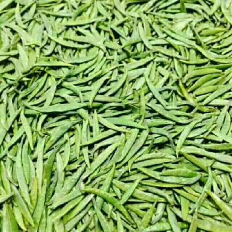 四川峨眉山、马边高山绿茶