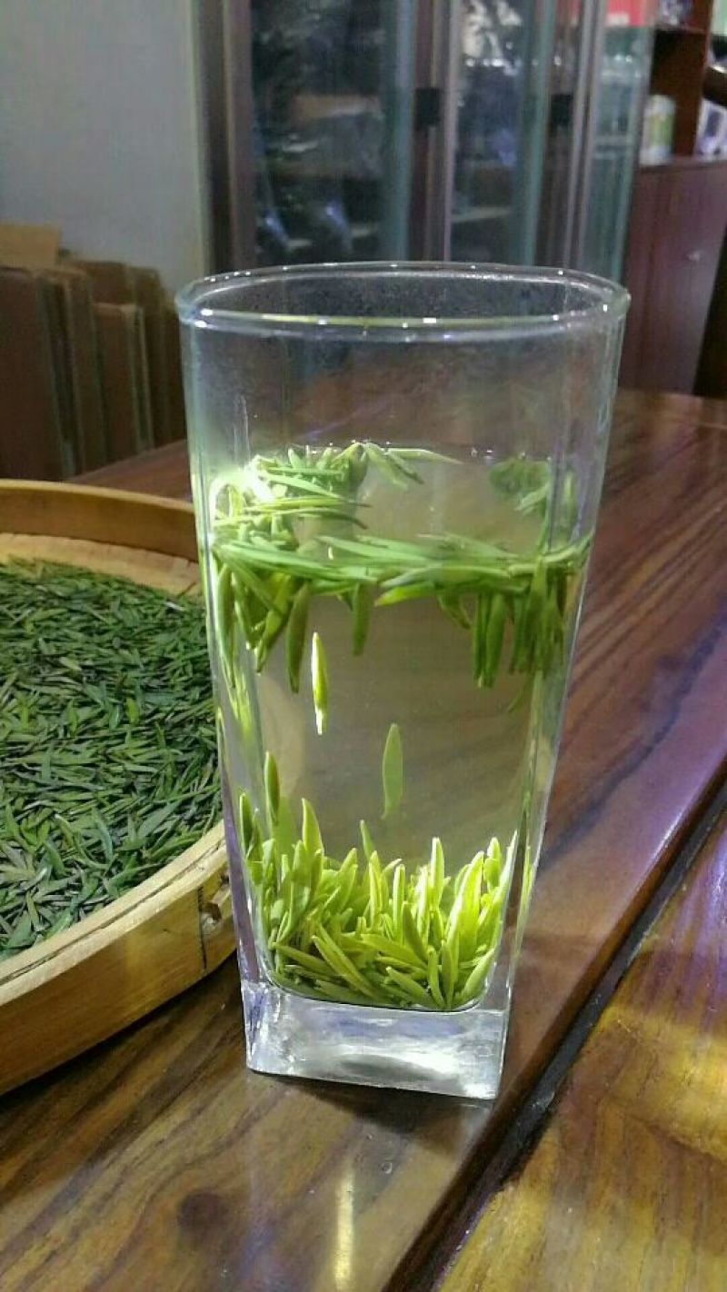 四川马边高山绿茶