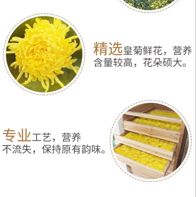 金丝皇菊茶一级