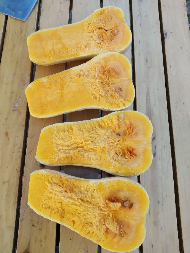 奶油南瓜