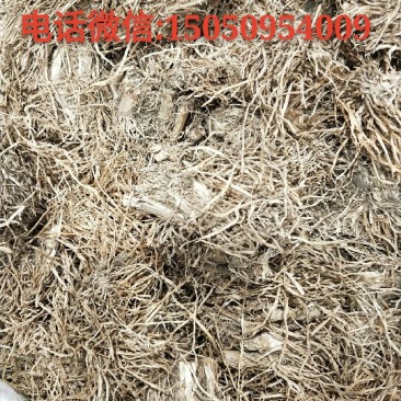糯稻根。个子。饮片加工。水洗货。产地一手货源批发。