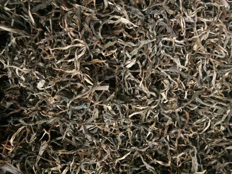 普洱古树茶