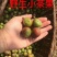 山茶油野生无添加——山里人家