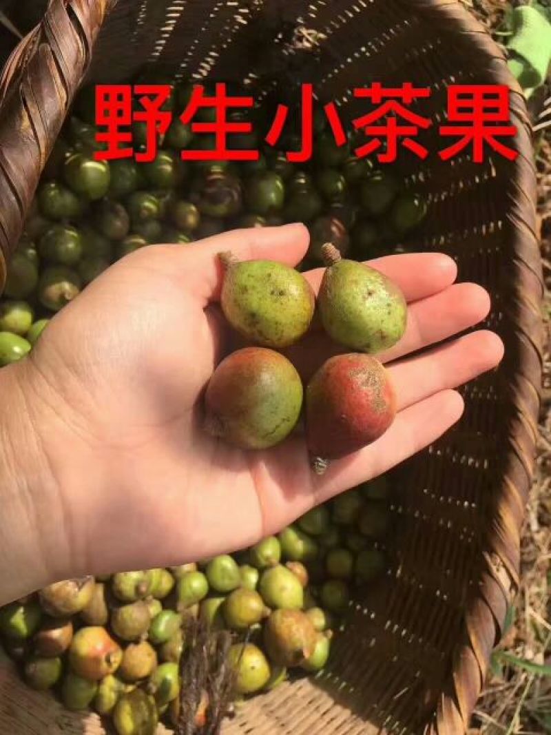 山茶油野生无添加——山里人家