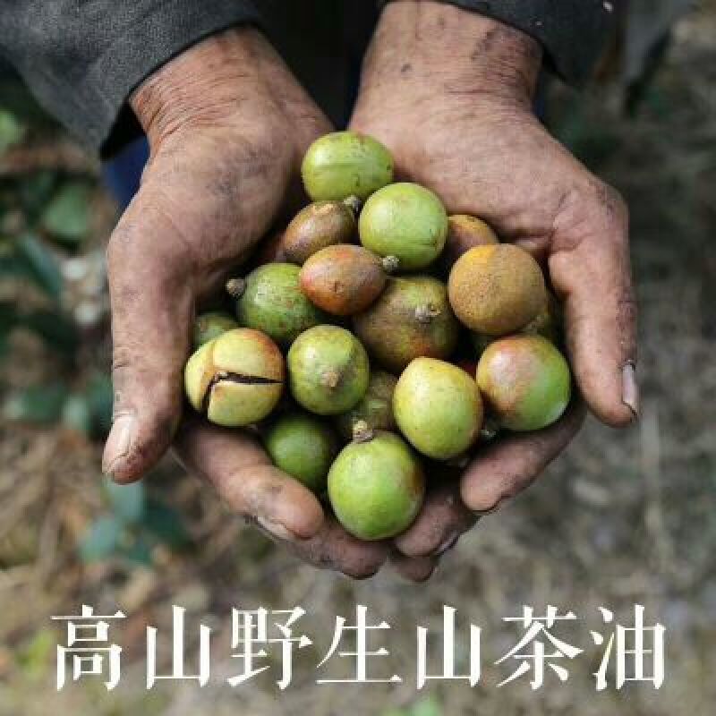 山茶油野生无添加——山里人家