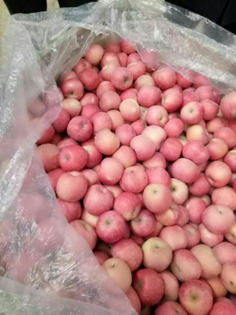 精品（冰糖心红富士）口感甜脆*质量保证*代存代发