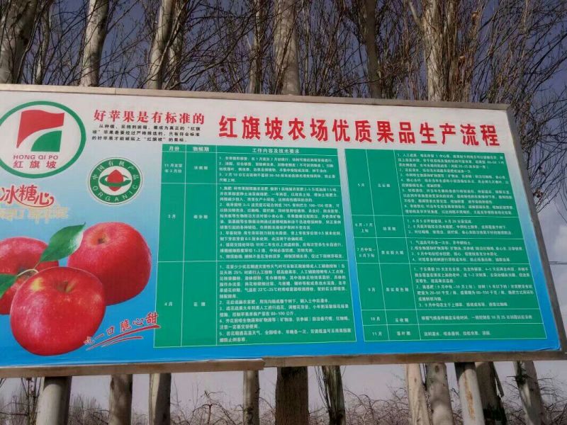 红旗坡冰糖心阿克苏富士脆甜多汁代办代发全国电商专业服务