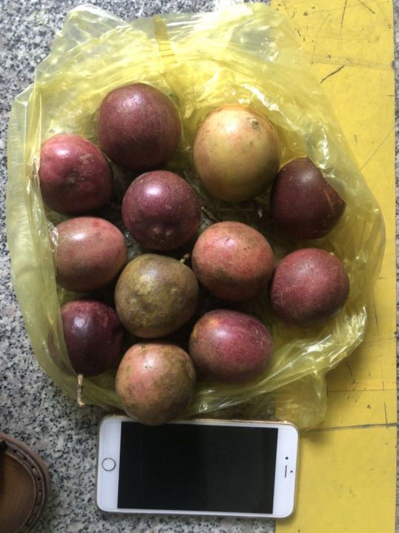 百香果，次果批发