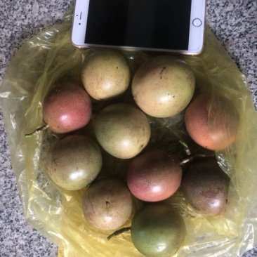 百香果，次果批发