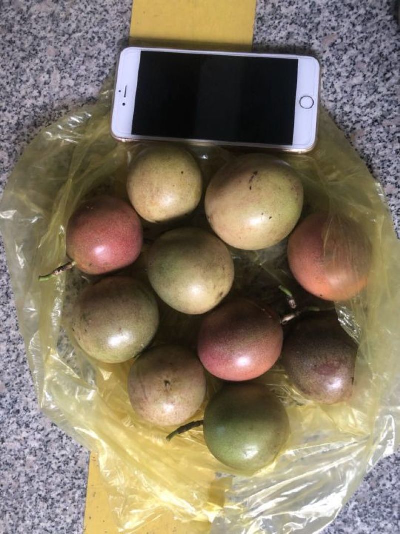 百香果，次果批发
