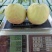 中华寿桃桃树苗60~70cm