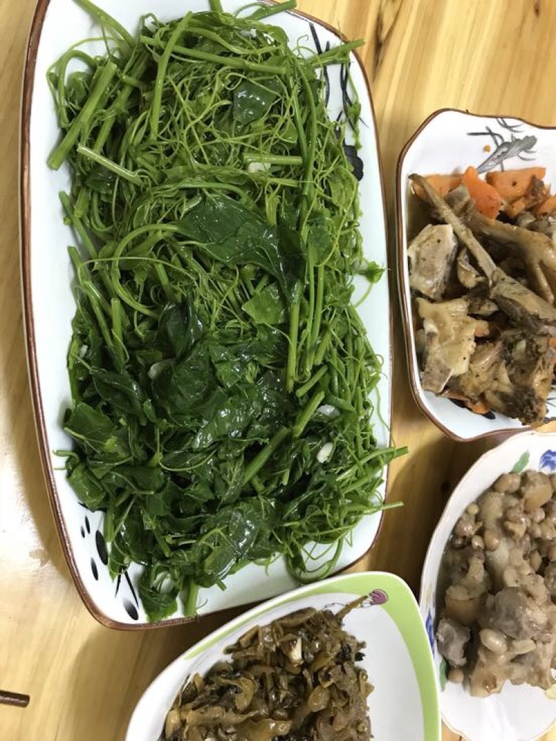 赤苍藤辣木苗姑娘菜基地直发常年有货