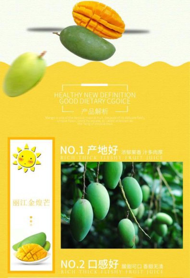 丽江金煌芒
