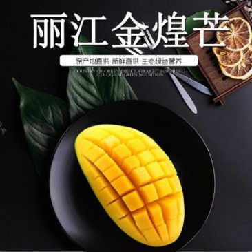 丽江金煌芒