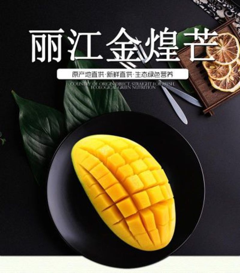 丽江金煌芒
