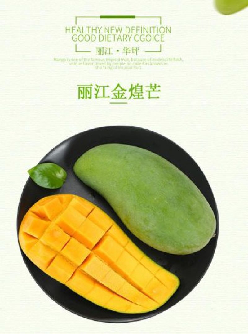 丽江金煌芒