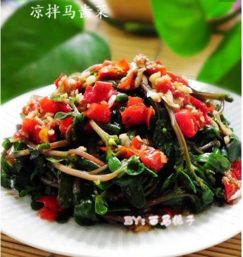 马齿苋鲜