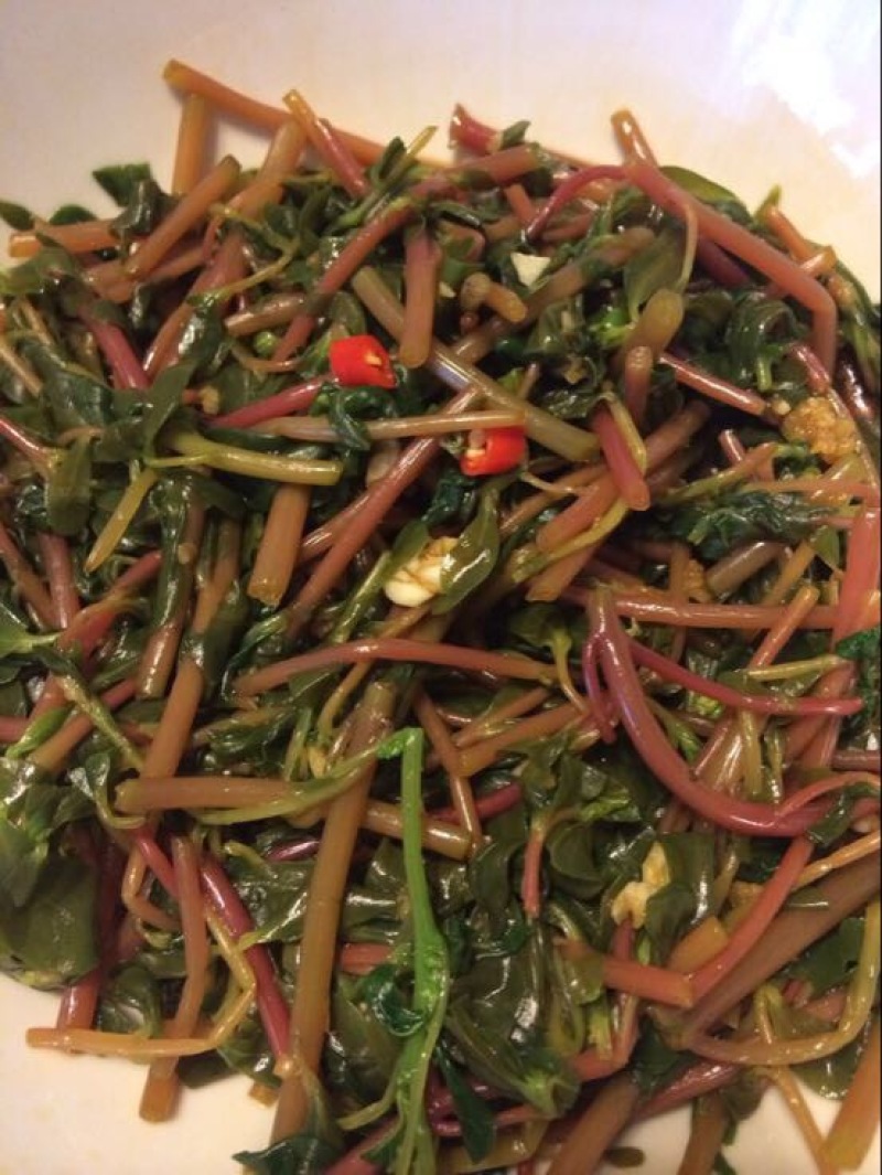 马齿苋鲜