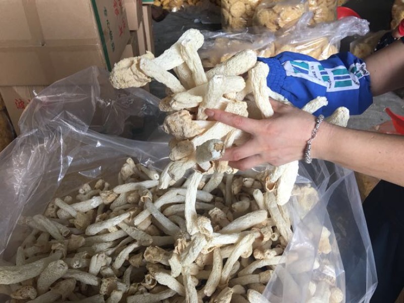竹荪万家发竹荪竹笙福建特产无硫