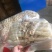 竹荪万家发竹荪竹笙福建特产无硫