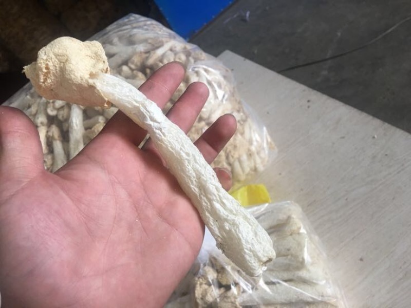 竹荪万家发竹荪竹笙福建特产无硫