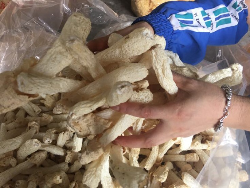 竹荪万家发竹荪竹笙福建特产无硫