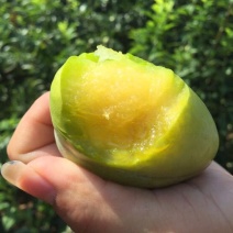 奈李李子古田本地油奈包山价格量大更优