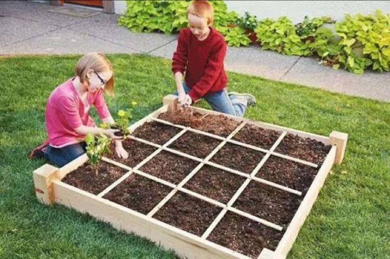 营养土多肉植物花卉等营养用土