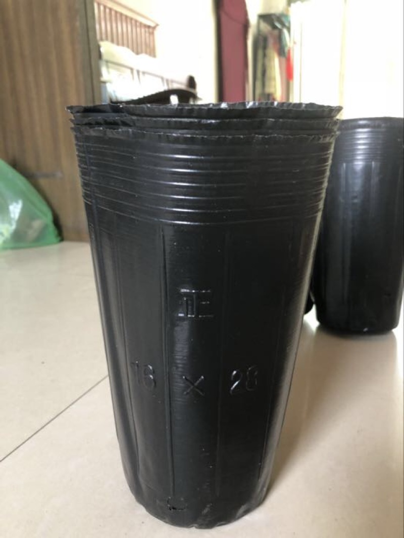 营养钵
