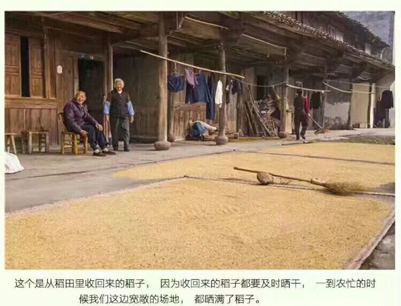 粉干特产5斤装
