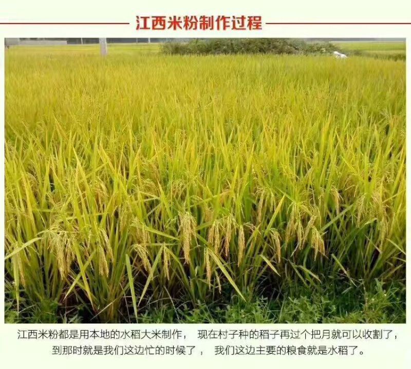 粉干特产5斤装