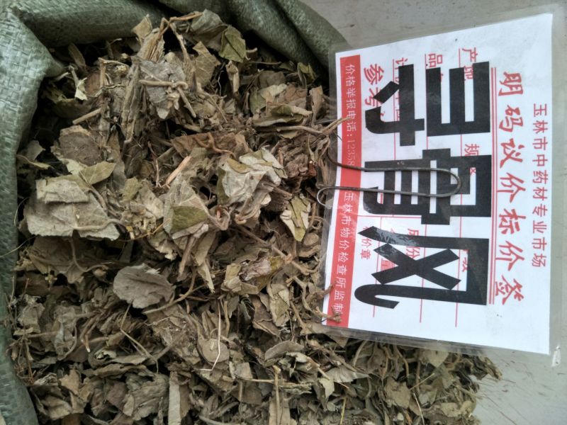 寻骨风产地直销，量大优惠