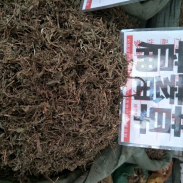 扁蓄草产地直销量大优惠