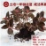 金线莲种子