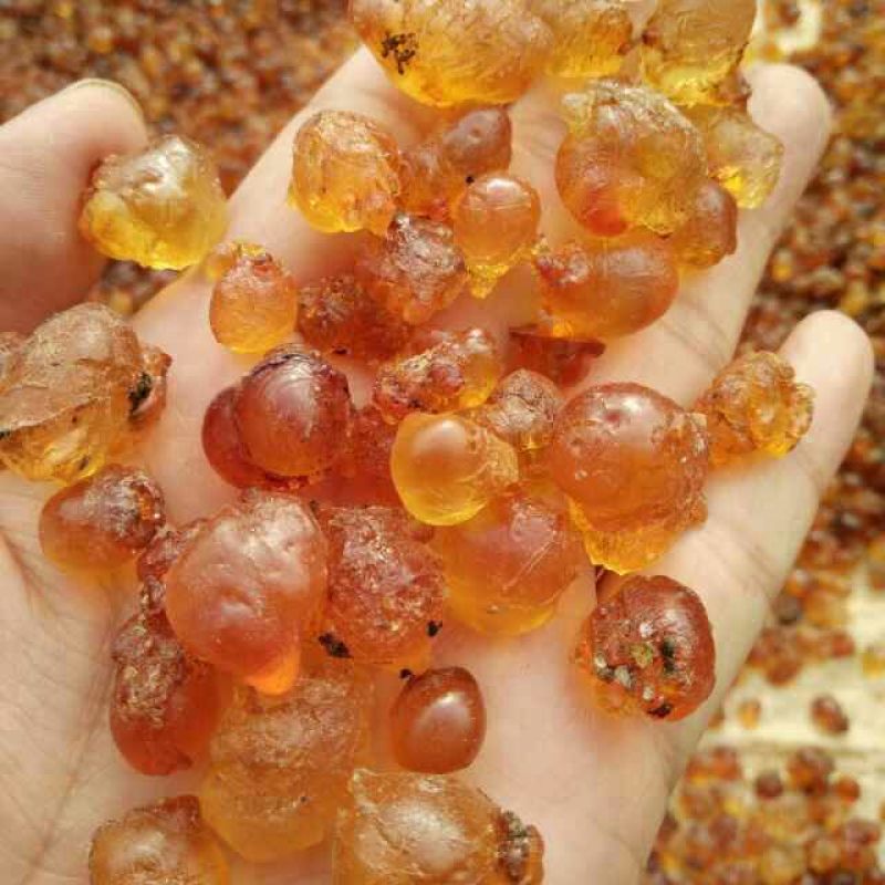 湖北精品桃胶