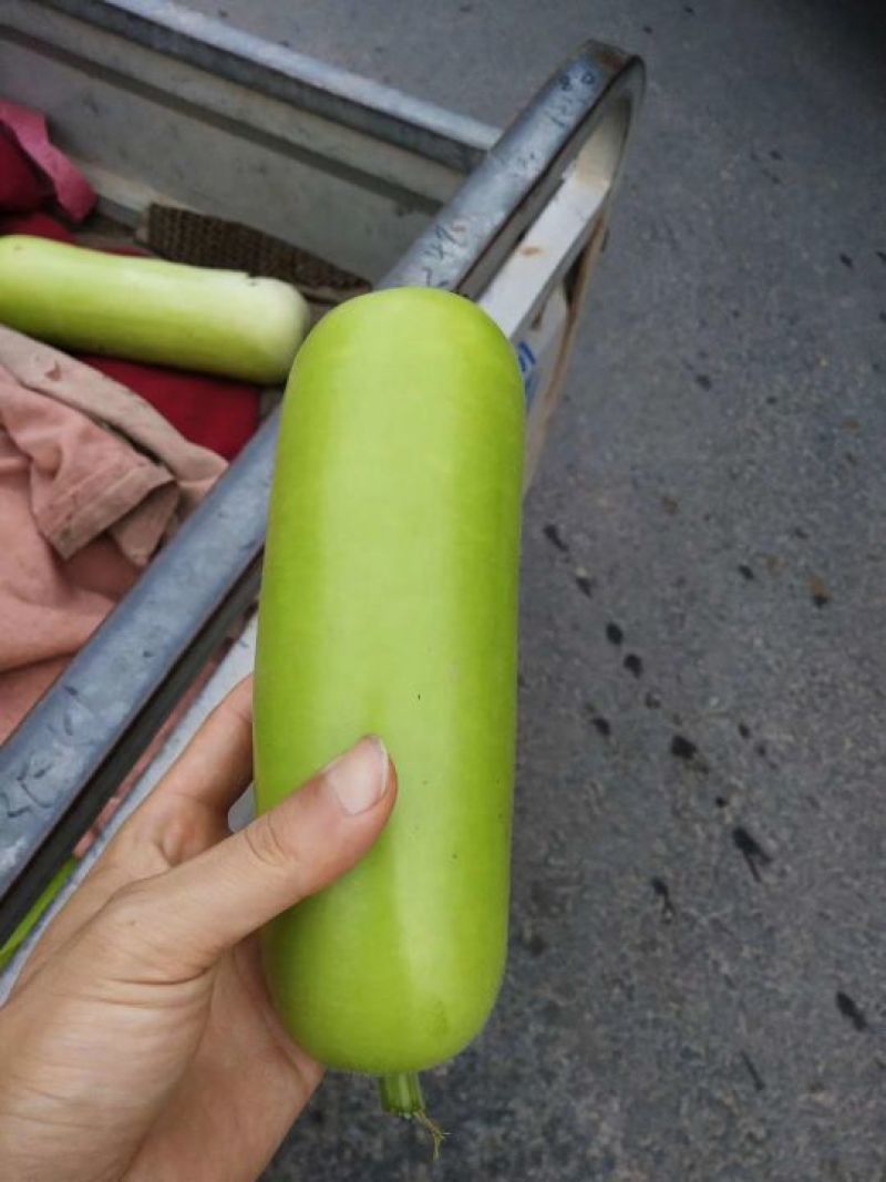瓠瓜