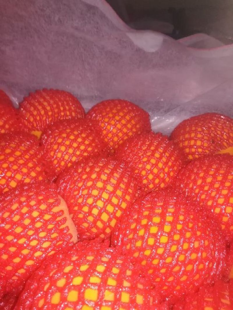 蒙阴蜜桃