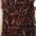 小龙虾6-8钱（30-40克）活虾小龙虾主养