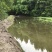 小龙虾6-8钱（30-40克）活虾小龙虾主养