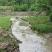 小龙虾6-8钱（30-40克）活虾小龙虾主养