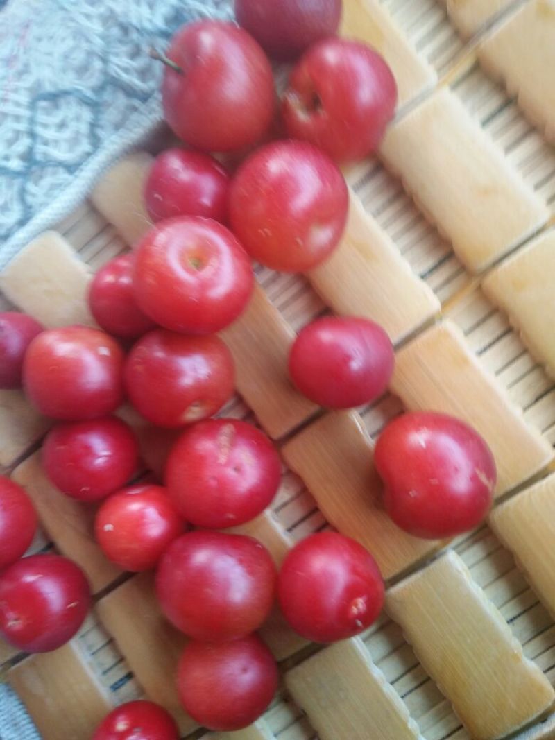 钙果