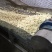 【热卖】蒜米袋装品质优良量大优惠欢迎电联