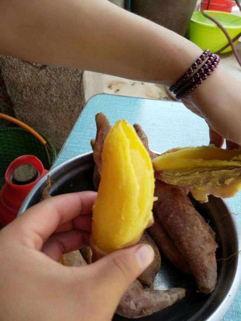 济薯26，现货，
