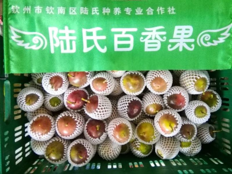 百香果紫果