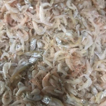 虾皮一级