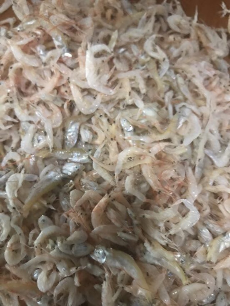 虾皮一级
