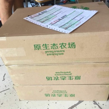 翠玉，园黄，酥梨
