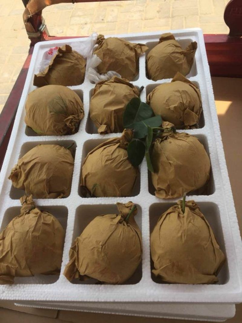 翠玉，园黄，酥梨